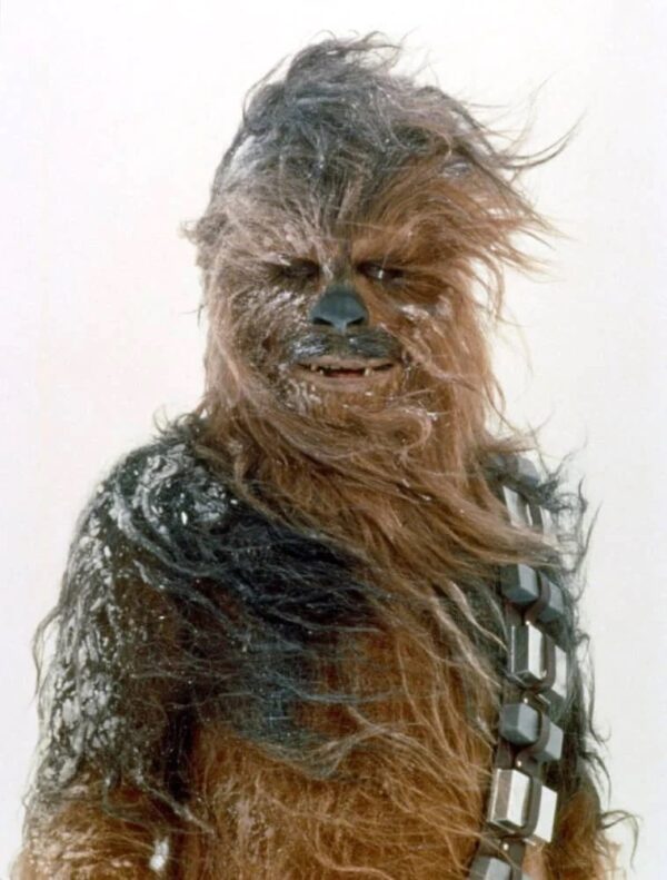 Star Wars Chewbacca Browns Fur Hoodie